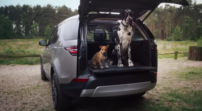 Land Rover будут оснащать душем для собак
