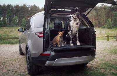 Land Rover представила внедорожник для владельцев домашних животных